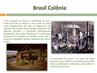 • Na ocupação do litoral, a exploração do pau-
brasil não fixou o homem a terra, pois as áreas
eram abandonadas, tão logo se esgotassem as
riquezas. Em virtude dessa extração extensiva, em
algumas décadas, o pau-brasil praticamente
desapareceu das matas litorâneas. A exploração
continuou em direção ao interior, ainda sob a
forma de monopólio, porém, realizada em menor
escala.
• A produção do açúcar foi capaz de atrair
povoados para o Brasil, e de proporcionar altos
lucros a metrópole. E além disso, intensificou o
comércio de escravos.
Brasil Colônia
 