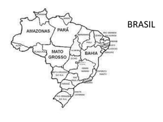 BRASIL 
 