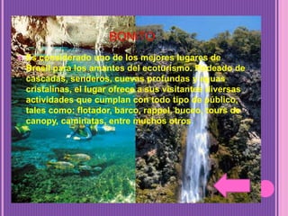 BONITO
 Es considerado uno de los mejores lugares de
Brasil para los amantes del ecoturismo. Rodeado de
cascadas, senderos, cuevas profundas y aguas
cristalinas, el lugar ofrece a sus visitantes diversas
actividades que cumplan con todo tipo de público,
tales como: flotador, barco, rappel, buceo, tours de
canopy, caminatas, entre muchos otros.
 
