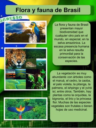 La flora y fauna de Brasil
presentan mayor
biodiversidad que
cualquier otro país en el
mundo, en especial, en la
selva amazónica. La
escasa presencia humana
en la selva resulta
primordial para la
conservación de las
especies.
La vegetación es muy
abundante con árboles como
el maruá, el cedro, la caoba,
el palo violeta, la pitanga, la
palmera, el ishpingo y el yvirá
isí, entre otros. También, hay
plantas como la orquídea, la
bignonia, el lirio y la princesa
flor. Muchas de las especies
vegetales son frutales o tienen
hojas de uso medicinal.
Flora y fauna de Brasil
 
