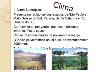  Clima Subtropical
Presente na região sul dos estados de São Paulo e
Mato Grosso do Sul, Paraná, Santa Catarina e Rio
Grande do Sul.
Caracteriza-se por verões quentes e úmidos e
invernos frios e secos.
Chove muito nos meses de novembro à março.
O índice pluviométrico anual é de, aproximadamente,
2000 mm.
As temperaturas médias ficam em torno de 20º C.
 