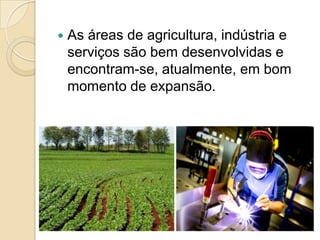  As áreas de agricultura, indústria e
serviços são bem desenvolvidas e
encontram-se, atualmente, em bom
momento de expansão.
 