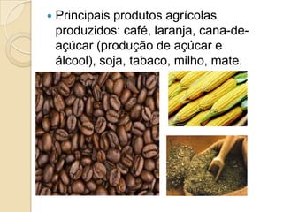  Principais produtos agrícolas
produzidos: café, laranja, cana-de-
açúcar (produção de açúcar e
álcool), soja, tabaco, milho, mate.
 