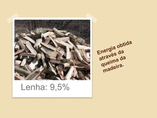 Lenha: 9,5%
 