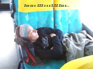 Zzz zz z  ZZZ z z z Z ZZ Zzz z... 