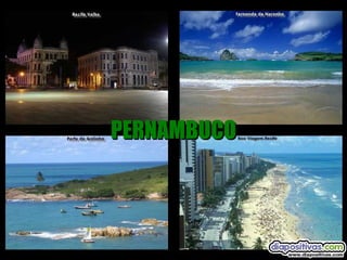 PERNAMBUCO 