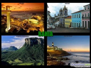 BAHIA 