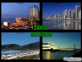 SANTA CATARINA 