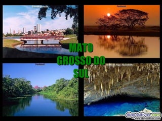 MATO GROSSO DO SUL 