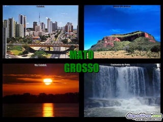 MATO GROSSO 