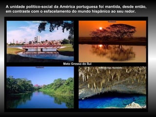 Mato Grosso do Sul   A unidade político-social da América portuguesa foi mantida, desde então, em contraste com o esfacelamento do mundo hispânico ao seu redor.   