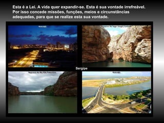 Sergipe Esta é a Lei. A vida quer expandir-se. Esta é sua vontade irrefreável. Por isso concede missões, funções, meios e circunstâncias adequadas, para que se realize esta sua vontade. 