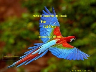 Jota Santos – 12 / 01 / 2007 Música: Aquarela do Brasil Voz  Gal Costa Fotografias: Internet [email_address] 