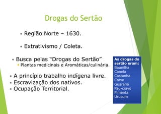 Drogas do Sertão
 Região Norte – 1630.
 Extrativismo / Coleta.
 Busca pelas “Drogas do Sertão”
 Plantas medicinais e Aromáticas/culinária.
 A princípio trabalho indígena livre.
 Escravização dos nativos.
 Ocupação Territorial.
As drogas do
sertão eram:
Baunilha
Canela
Castanha
Cravo
Guaraná
Pau-cravo
Pimenta
Urucum
 