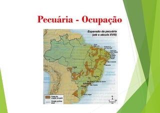 Pecuária - Ocupação
 