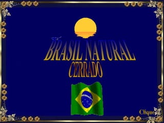 BRASIL NATURAL Clique CERRADO 