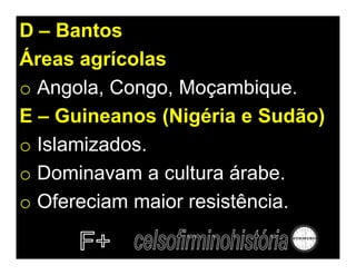 D – Bantos
Áreas agrícolas
o Angola, Congo, Moçambique.
E – Guineanos (Nigéria e Sudão)
o Islamizados.
o Dominavam a cultura árabe.
o Ofereciam maior resistência.
 