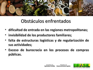 Obstáculos enfrentados
• dificultad de entrada en las regiones metropolitanas;
• invisibilidad de los productores familiares;
• falta de estructuras logísticas y de regularización de
sus actividades;
• Exceso de burocracia en los procesos de compras
públicas.

 