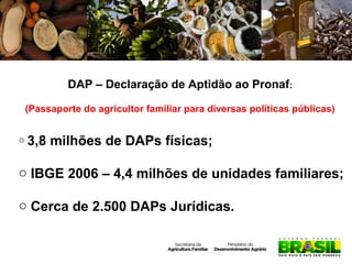DAP – Declaração de Aptidão ao Pronaf:
(Passaporte do agricultor familiar para diversas políticas públicas)
o 3,8

milhões de DAPs físicas;

o IBGE 2006 – 4,4 milhões de unidades familiares;
o Cerca de 2.500 DAPs Jurídicas.

 