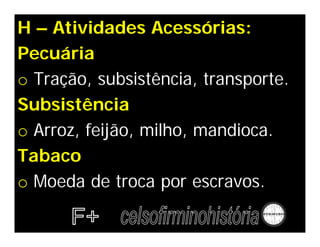 H – Atividades Acessórias:
Pecuária
o Tração, subsistência, transporte.
Subsistência
o Arroz, feijão, milho, mandioca.
Tabaco
o Moeda de troca por escravos.
 