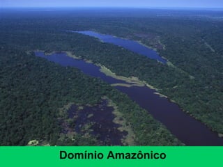 Domínio Amazônico
 