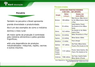 Pecuária



Também na pecuária o Brasil apresenta
grande diversidade e produtividade.
Ela é um dos exemplos de como a indústria
domina o meio rural:

●A maior parte da produção é controlada
pela indústria alimentícia e pelos grandes
frigoríficos;

●Há uma dependência de produtos
industrializados: máquinas, rações, vacinas
e outros insumos.




                                              13
 
