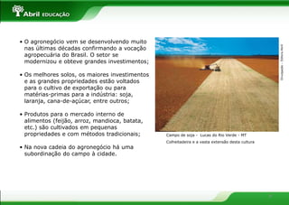 • O agronegócio vem se desenvolvendo muito




                                                                                                     Divulgação – Editora Abril
  nas últimas décadas confirmando a vocação
  agropecuária do Brasil. O setor se
  modernizou e obteve grandes investimentos;

• Os melhores solos, os maiores investimentos
  e as grandes propriedades estão voltados
  para o cultivo de exportação ou para
  matérias-primas para a indústria: soja,
  laranja, cana-de-açúcar, entre outros;

• Produtos para o mercado interno de
  alimentos (feijão, arroz, mandioca, batata,
  etc.) são cultivados em pequenas
  propriedades e com métodos tradicionais;      Campo de soja - Lucas do Rio Verde - MT
                                                Colheitadeira e a vasta extensão desta cultura
• Na nova cadeia do agronegócio há uma
  subordinação do campo à cidade.




                                                                                                 8
 