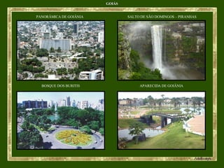 GOIÁS PANORÂMICA DE GOIÂNIA SALTO DE SÃO DOMINGOS – PIRANHAS  BOSQUE DOS BURITIS APARECIDA DE GOIÂNIA 