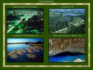 MATO GROSSO SUL CAMPO GRANDE VISTA NOTURNA PANTANAL - MS COLÔNIA DE VITÓRIA RÉGIA -  MS GRUTA DO LAGO AZUL – BONITO - MS 