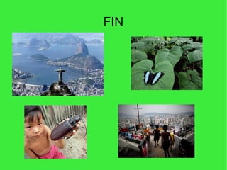 FIN
 