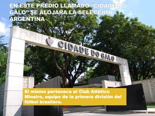 El mismo pertenece al Club Atlético
Mineiro, equipo de la primera división del
fútbol brasilero.
 