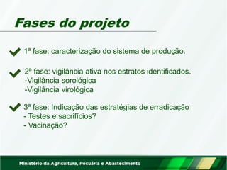 Fases do projeto
3ª fase: Indicação das estratégias de erradicação
- Testes e sacrifícios?
- Vacinação?
2ª fase: vigilância ativa nos estratos identificados.
-Vigilância sorológica
-Vigilância virológica
1ª fase: caracterização do sistema de produção.
 