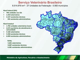 Serviço Veterinário Brasileiro
8.514.876 km2 - 27 Unidades da Federação - 5.565 municípios
Nível Federal (SFA)
• 796 unidades nas Ufs
• 1.419 veterinários
• 3.157 assistentes técnicos
• 332 assistentes administrativos
Nível Estadual
• 1.702 unidades veterinárias locais
• 4.672 escritórios de atendimento à
comunidade
• 4.182 veterinários
• 5.930 assistentes técnicos
• 6.049 assistentes administrativos
TOTAL
5.601 veterinários
9.087 assistentes técnicos
6.381 assistentes administrativos
TOTAL: 20.971 profissionais
 