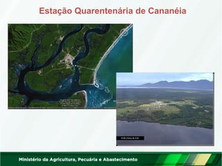 Estação Quarentenária de Cananéia
 