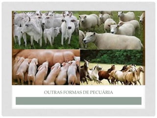 OUTRAS FORMAS DE PECUÁRIA
 
