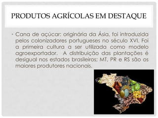 PRODUTOS AGRÍCOLAS EM DESTAQUE
• Cana de açúcar: originária da Ásia, foi introduzida
pelos colonizadores portugueses no século XVI. Foi
a primeira cultura a ser utilizada como modelo
agroexportador. A distribuição das plantações é
desigual nos estados brasileiros; MT, PR e RS são os
maiores produtores nacionais.
 