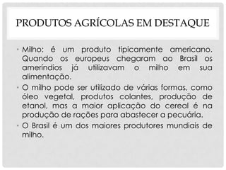 PRODUTOS AGRÍCOLAS EM DESTAQUE
• Milho: é um produto tipicamente americano.
Quando os europeus chegaram ao Brasil os
ameríndios já utilizavam o milho em sua
alimentação.
• O milho pode ser utilizado de várias formas, como
óleo vegetal, produtos colantes, produção de
etanol, mas a maior aplicação do cereal é na
produção de rações para abastecer a pecuária.
• O Brasil é um dos maiores produtores mundiais de
milho.
 