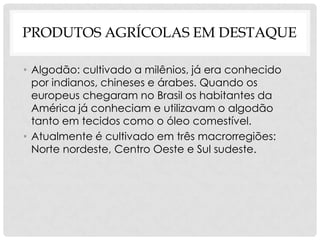 PRODUTOS AGRÍCOLAS EM DESTAQUE
• Algodão: cultivado a milênios, já era conhecido
por indianos, chineses e árabes. Quando os
europeus chegaram no Brasil os habitantes da
América já conheciam e utilizavam o algodão
tanto em tecidos como o óleo comestível.
• Atualmente é cultivado em três macrorregiões:
Norte nordeste, Centro Oeste e Sul sudeste.
 