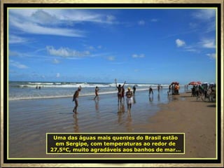 Uma das águas mais quentes do Brasil estão em Sergipe, com temperaturas ao redor de 27,5ºC, muito agradáveis aos banhos de mar... 