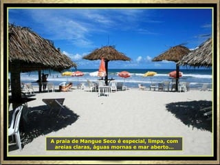 A praia de Mangue Seco é especial, limpa, com areias claras, águas mornas e mar aberto... 