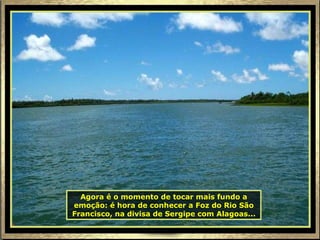 Agora é o momento de tocar mais fundo a emoção: é hora de conhecer a Foz do Rio São Francisco, na divisa de Sergipe com Alagoas... 