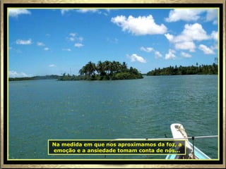 Na medida em que nos aproximamos da foz, a emoção e a ansiedade tomam conta de nós... 