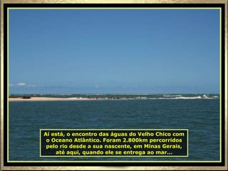 Aí está, o encontro das águas do Velho Chico com o Oceano Atlântico. Foram 2.800km percorridos pelo rio desde a sua nascente, em Minas Gerais, até aqui, quando ele se entrega ao mar... 