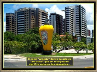 O nome “Aracaju” deriva da palavra “ ará acaiú ” que em tupi-guarani significa cajueiro dos papagaios... 