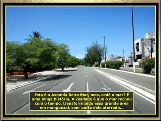 Esta é a Avenida Beira Mar, mas, cadê o mar? É uma longa história. A verdade é que o mar recuou com o tempo, transformando essa grande área em manguezal, com parte dele aterrado... 