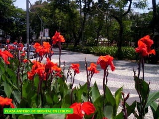 PLAZA ANTERO  DE QUENTAL EN LEBLON 
