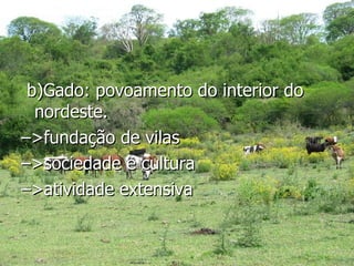 b)Gado: povoamento do interior do nordeste. – >fundação de vilas – >sociedade e cultura – >atividade extensiva 