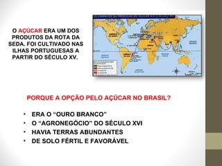 O  AÇÚCAR  ERA UM DOS PRODUTOS DA ROTA DA SEDA. FOI CULTIVADO NAS ILHAS PORTUGUESAS A PARTIR DO SÉCULO XV.  PORQUE A OPÇÃO PELO AÇÚCAR NO BRASIL? ERA O “OURO BRANCO” O “AGRONEGÓCIO” DO SÉCULO XVI HAVIA TERRAS ABUNDANTES DE SOLO FÉRTIL E FAVORÁVEL 