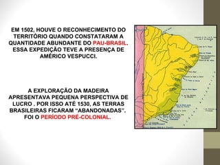 EM 1502, HOUVE O RECONHECIMENTO DO TERRITÓRIO QUANDO CONSTATARAM A QUANTIDADE ABUNDANTE DO  PAU-BRASIL . ESSA EXPEDIÇÃO TEVE A PRESENÇA DE AMÉRICO VESPUCCI. A EXPLORAÇÃO DA MADEIRA APRESENTAVA PEQUENA PERSPECTIVA DE LUCRO . POR ISSO ATÉ 1530, AS TERRAS BRASILEIRAS FICARAM “ABANDONADAS”.  FOI O  PERÍODO PRÉ-COLONIAL .  