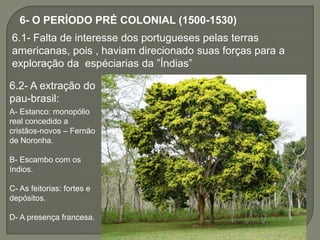 6- O PERÍODO PRÉ COLONIAL (1500-1530)
6.1- Falta de interesse dos portugueses pelas terras
americanas, pois , haviam direcionado suas forças para a
exploração da espéciarias da ”Índias”

6.2- A extração do
pau-brasil:
A- Estanco: monopólio
real concedido a
cristãos-novos – Fernão
de Noronha.

B- Escambo com os
índios.

C- As feitorias: fortes e
depósitos.

D- A presença francesa.
 